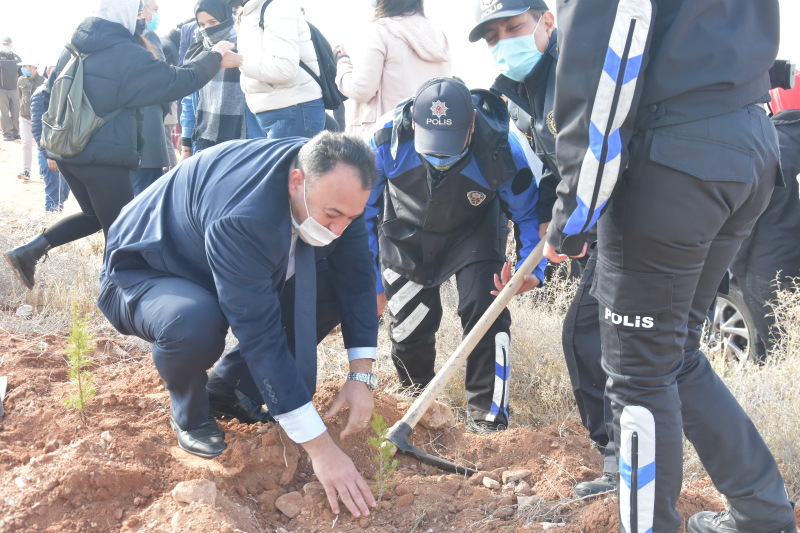 826 BİN FİDAN TOPRAKLA BULUŞTU