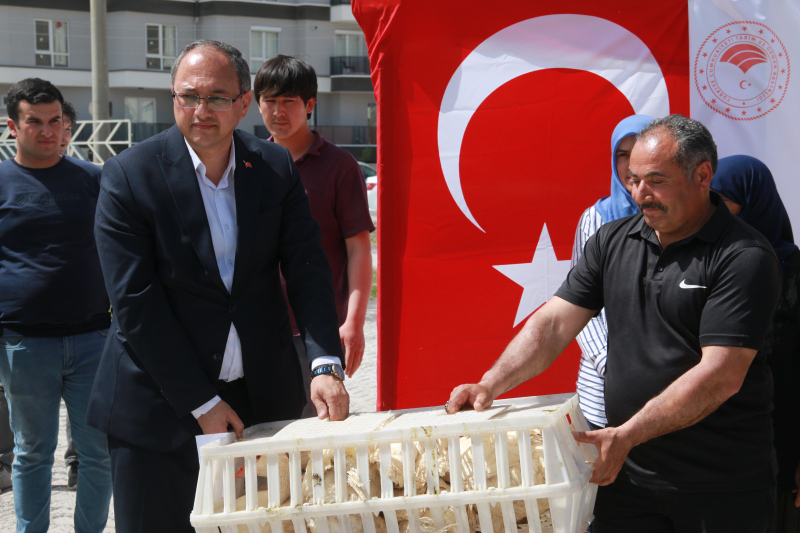 50 ÜRETİCİYE 2 BİN 250 ADET KAZ DESTEĞİ