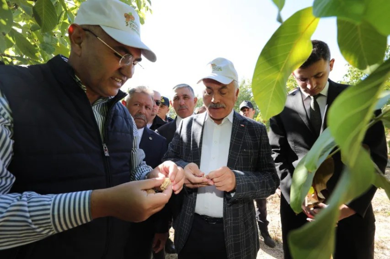 Yağ ve Aroması İle Türkiye’de Tek