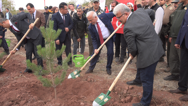 Cumhuriyetin Yeni Yüzyılında "100. Yıl Hatıra Ormanı" Açıldı