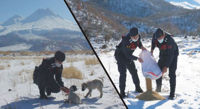 Aksaray’ın Dağlarında Canlar Öksüz Değil