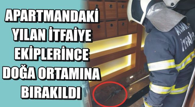 Apartmandaki yılan itfaiye ekiplerince doğa ortamına bırakıldı