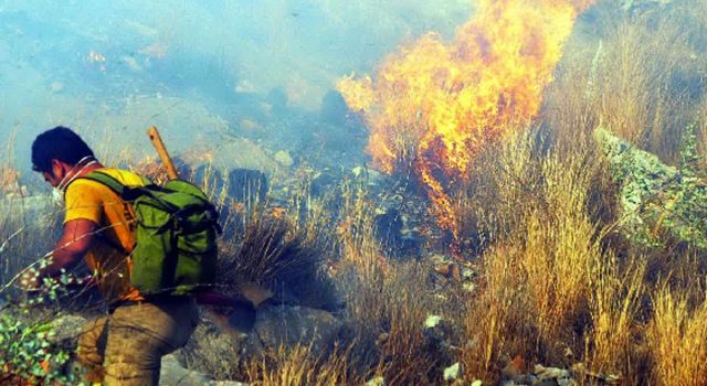 Bodrum tepeleri alev alev yanıyor