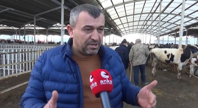 Kasaplar Odası Başkan Adayı Hakan Darılmaz Hayvan Pazarında Sorunları Dinledi