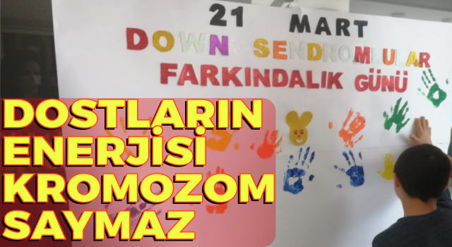 Dostların Enerjisi Kromozom Saymaz