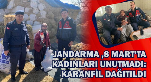 Jandarma, 8 Mart'ta Kadınları Unutmadı: Karanfil Dağıtıldı