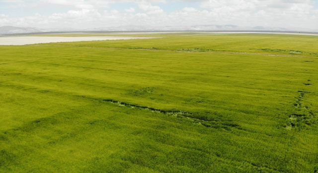 Son Aylardaki Yağışlar Kuraklık Tehlikesini Düşürdü