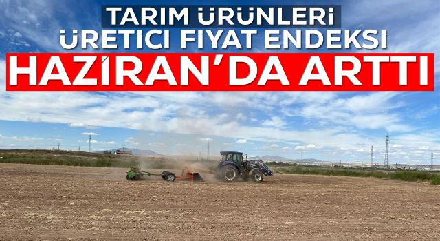 Tarım Ürünleri Üretici Fiyat Endeksi Haziran’da Arttı