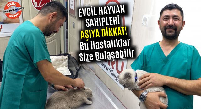 Evcil Hayvan Sahipleri Aşıya Dikkat! Bu Hastalıklar Size Bulaşabilir