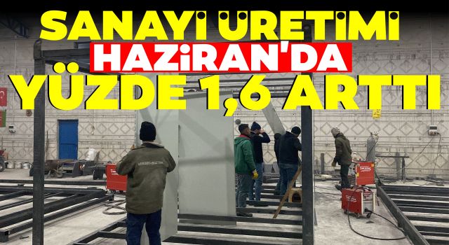 Sanayi Üretimi Haziran'da Yüzde 1,6 Arttı