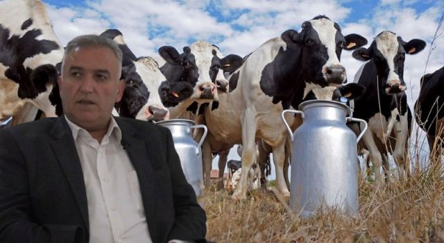 İnek Sütü Üretimi Arttı, Tereyağı Üretimi Düştü