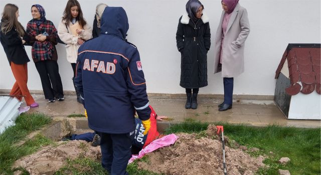 Kuyuya Düşen Köpek Yavrularına, AFAD Elini Uzattı