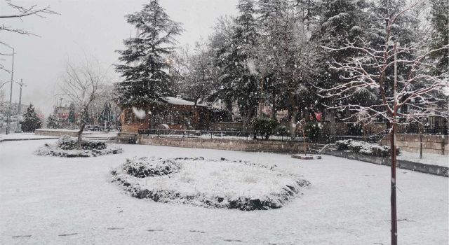 Mart Kapıdan Baktırır Kazma Kürek Yaktırır Derken, Lapa Lapa Kar Yağdı