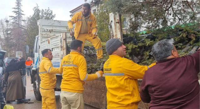 Vatandaşlara Ücretsiz Fidan Dağıtıldı