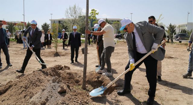 Kampüste 12 Dönümlük Alana Farklı Türde 350 Adet Fidan Dikildi