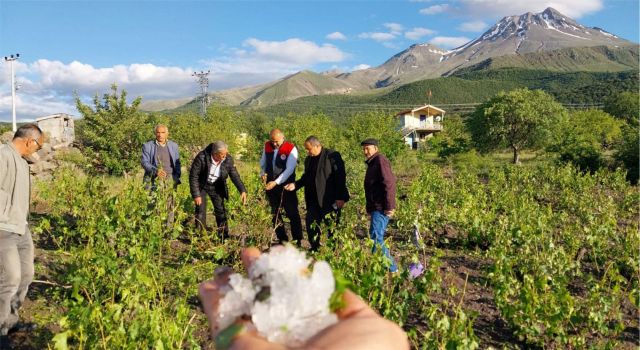 Dolu Yağışı Tarım Arazilerini Vurdu