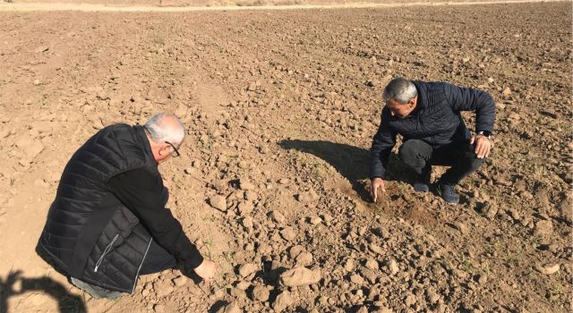 VERİMLİ TARIM İÇİN EKİPLER DURDURAK BİLMEDEN SAHADA