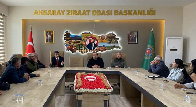 Yaban Domuzları Yaşam Alanlarına İnince Düğmeye Basıldı
