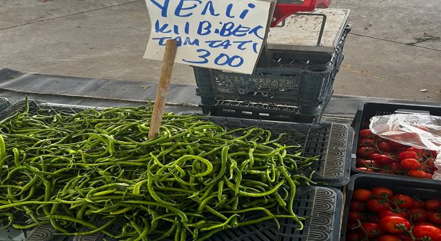 Acı biber tadıyla değil fiyatıyla can yakıyor