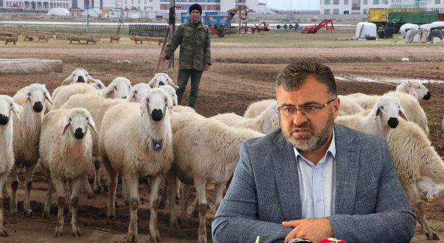 Acil çoban ihtiyacı için umut Özbekistan ve Afganistan’da