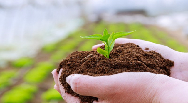 Ağaçören’de “İyi Tarım Kursu” başvuruları açıldı