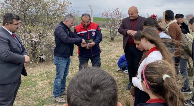 fidanlar, daha yeşil bir gelecek için toprakla buluştu