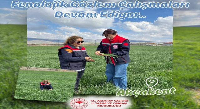 Hububat arazileri mercek altında