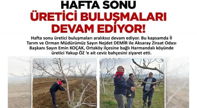 Tarım Müdürü Demir’den ceviz üreticisine ziyaret