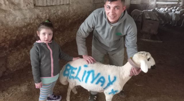 Taşpınar’da kurbanlık mesaisi başladı