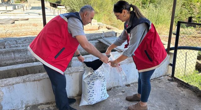 ÜRETİCİLERE BİTKİ KORUMA EĞİTİMLERİ VERİLİYOR