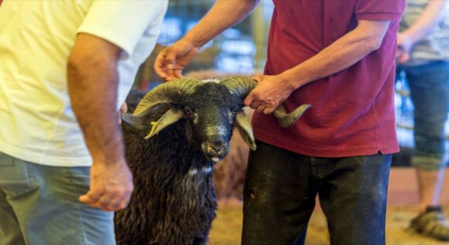 Vekaletle kurban kesim ücreti belli oldu