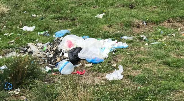 Gedik yolunda çevre kirliliği isyanı: Hayvanlarımız plastik yiyor!