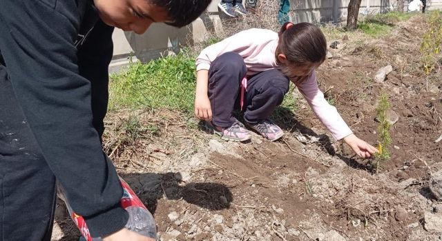 Öğrenciler fidan dikerek geleceğe iz bıraktı
