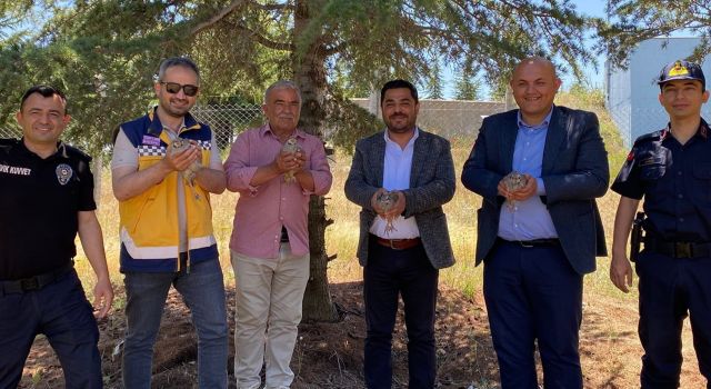 Ağaçören’de keklikler doğaya salındı