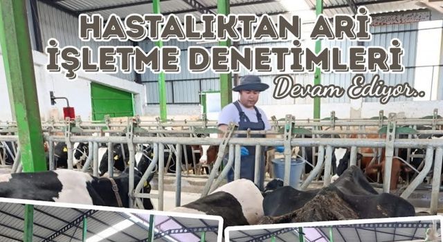 Ari işletmeler mercek altında