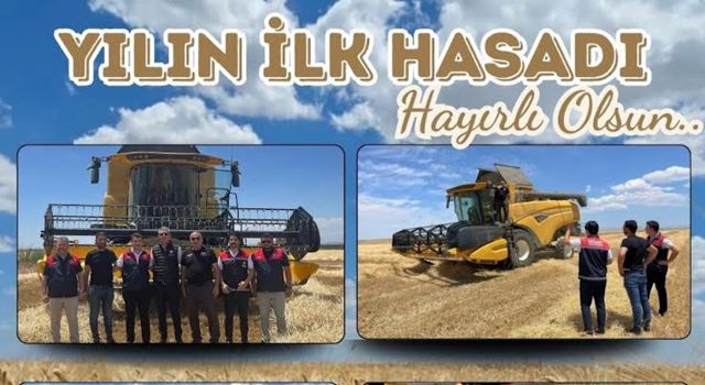 Eskil’de sezonun ilk arpa hasadı başladı