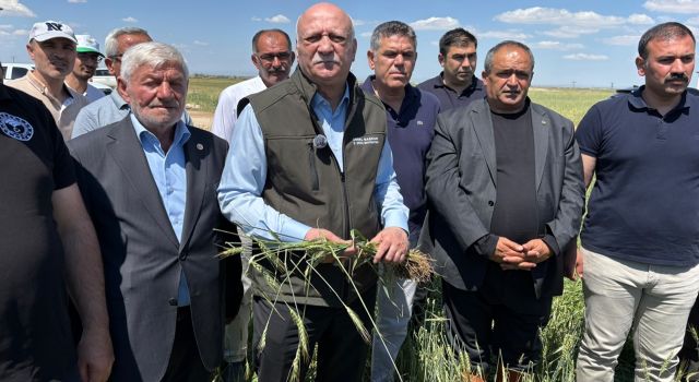 TZOB Başkanı Bayraktar: 25 bin dekar tarım arazisi zarar gördü