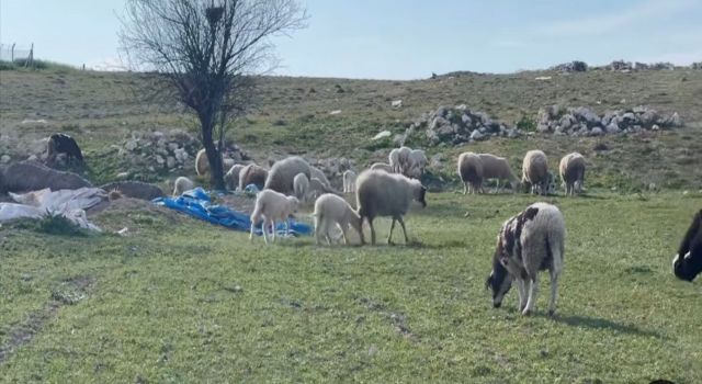 Üreticilere müjde! Sonuçlar açıklandı