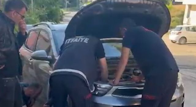 Vatandaşın dikkati kedinin canını kurtardı