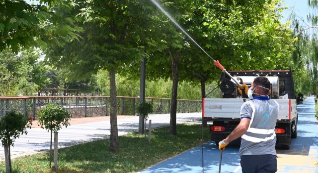 Aksaray’da haşereyle mücadele seferberliği