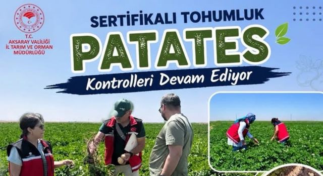 Aksaray'da tohumluk patates üretimi yakın takipte