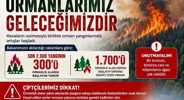 Bir kıvılcım milyonlarca ağacı yok etmeye yetebilir