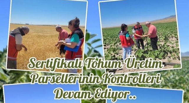 Sertifikalı tohumda taviz yok