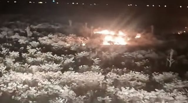 Akkaş Yaylası’nda ot yangını paniği