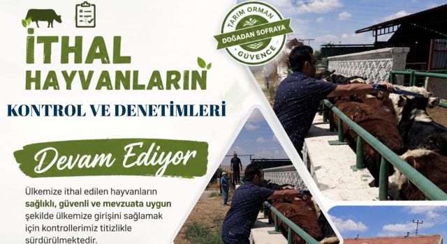 Aksaray’da ithal hayvanlara sıkı sağlık denetimi