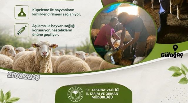 Aksaray’da küçükbaş hayvanlar tek tek aşılanıyor