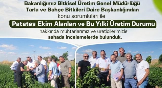 Aksaray’da patates üretiminin nabzı tutuldu