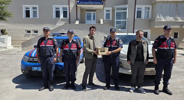 Aksaray’da yaban hayvanı operasyonu