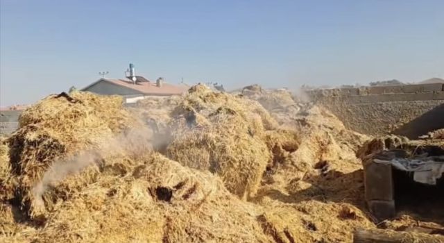 Eskil’de balya yangını: 6 ton kül oldu