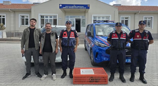 Eşmekaya’da yabani kuş operasyonu